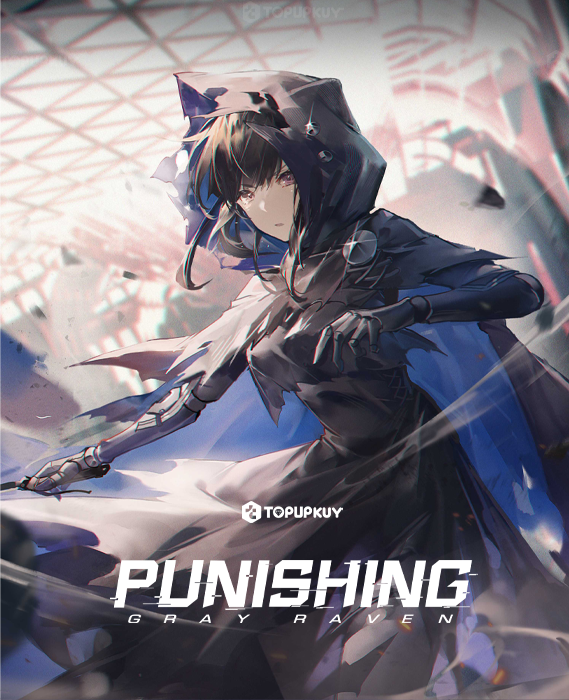 Punishing: Gray Raven